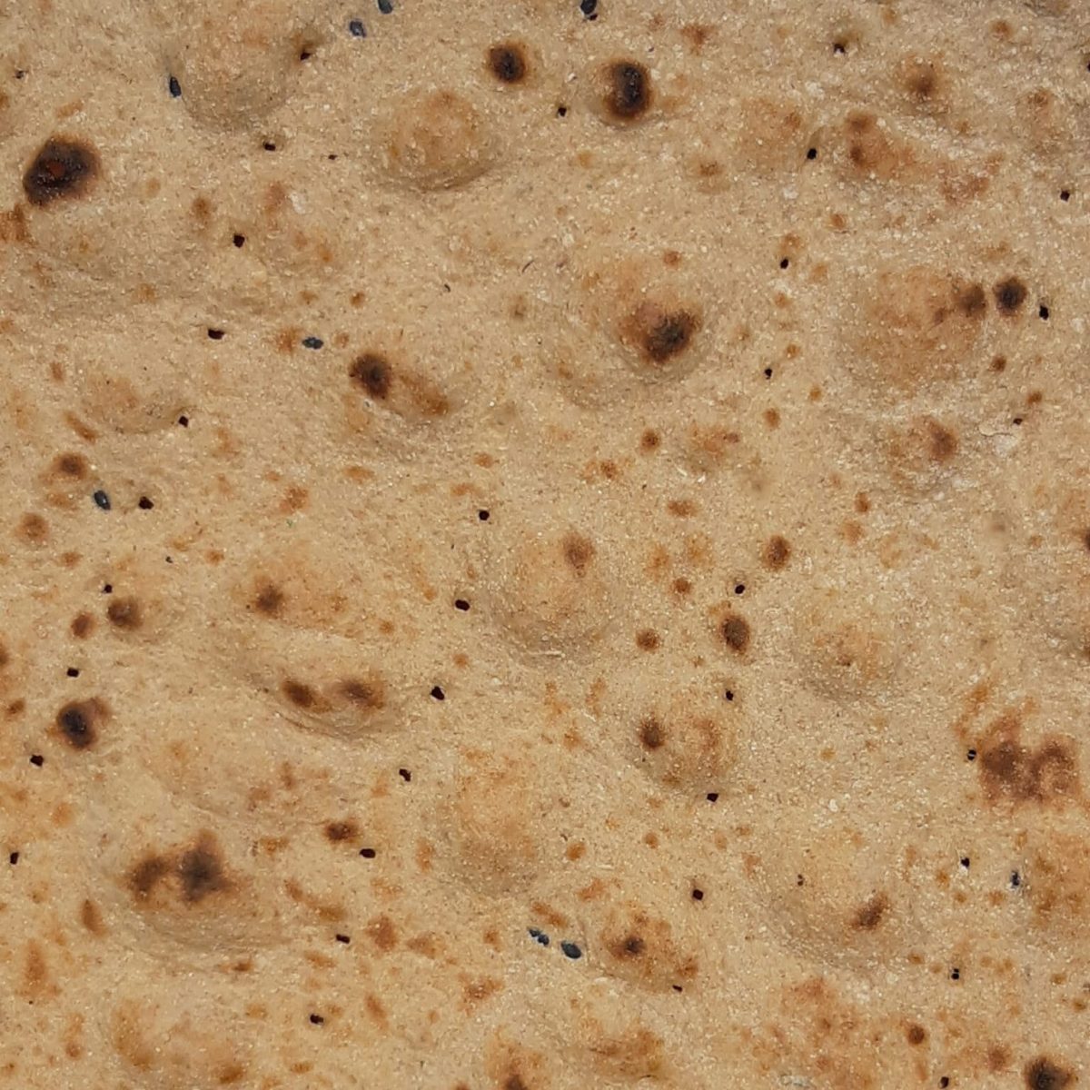 نان کامل طهورا