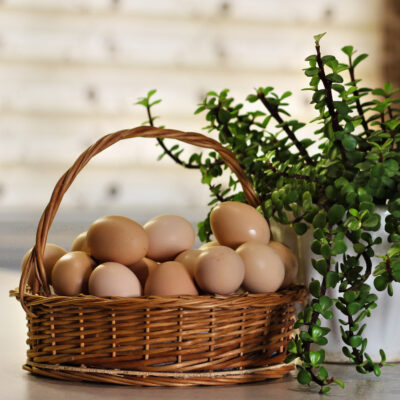 تخم مرغ طبیعی