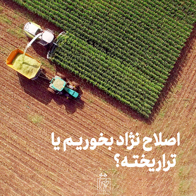 اصلاح نژاد بخوریم یا تراریخته؟