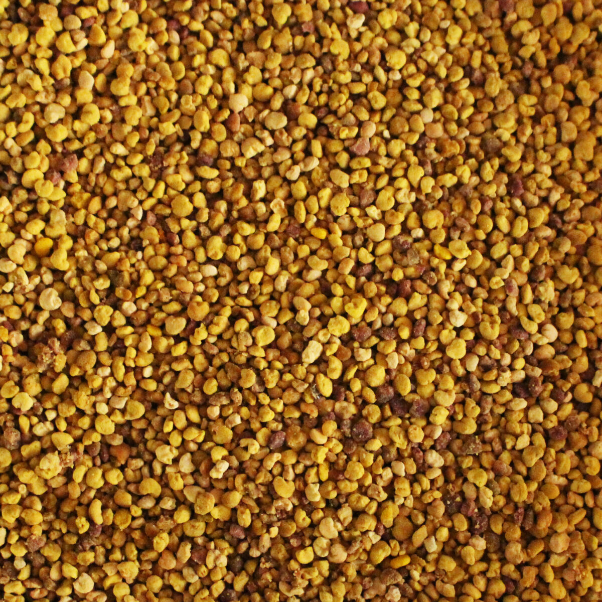 گرده گل - Image 2