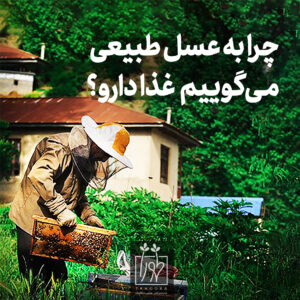مقاله چرا به عسل طبیعی می گوییم غذادارو
