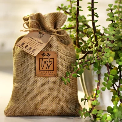 چای ایرانی کشت طبیعی