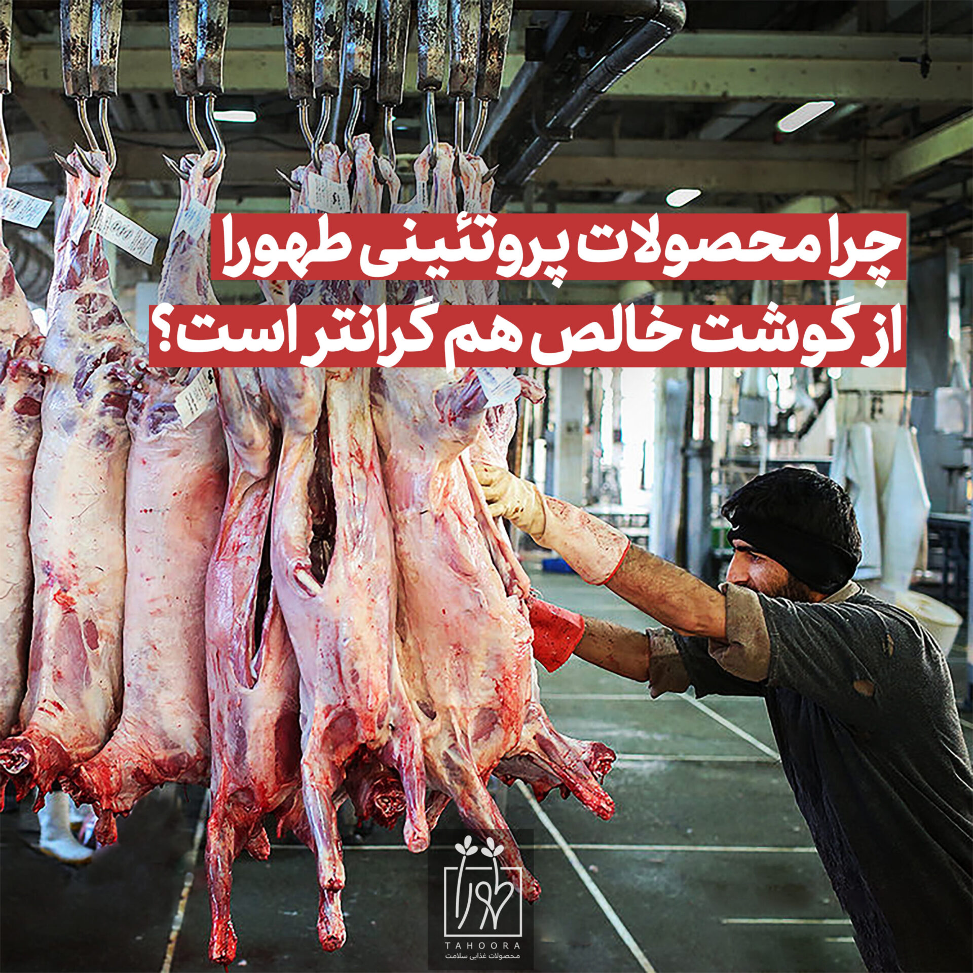 چرا محصولات پروتئینی طهورا از گوشت خالص هم گرانتر است