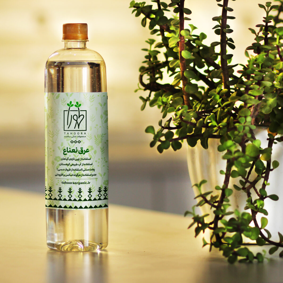 عرق نعنا عرق نعنا طهورا