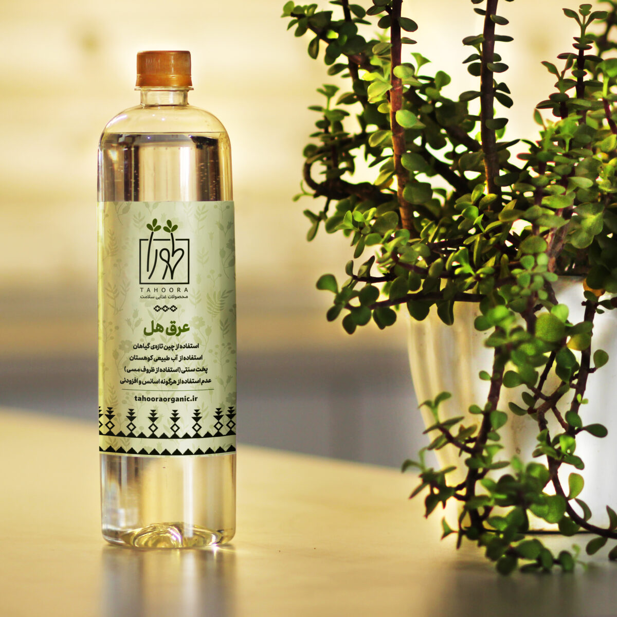 عرق هل طهورا