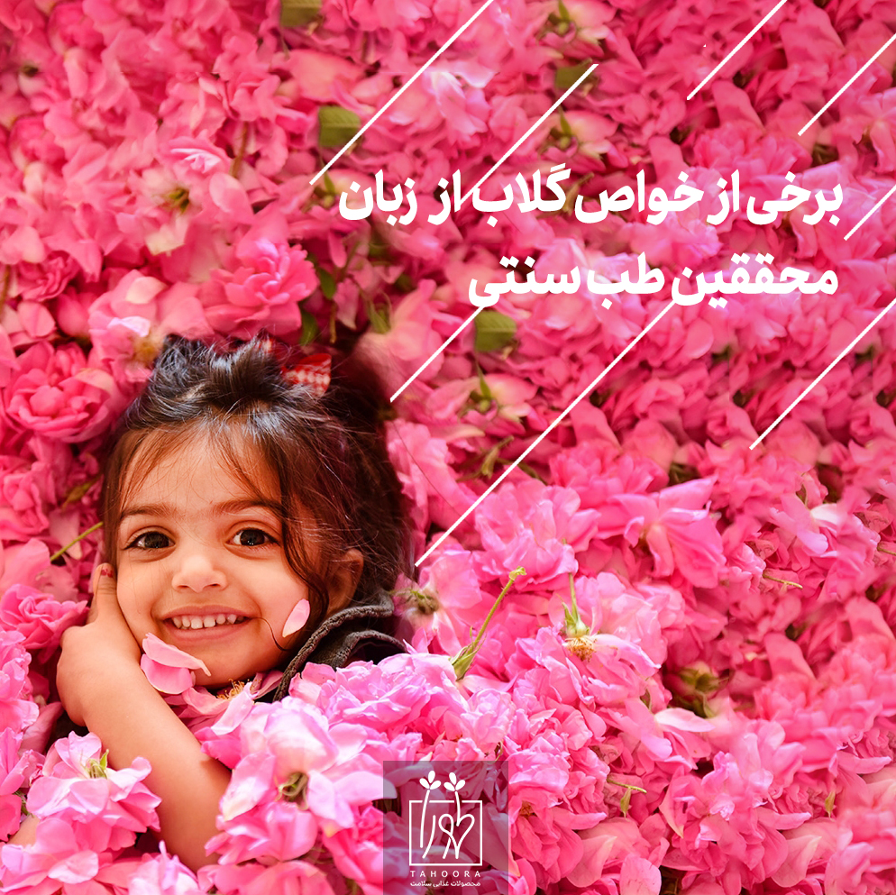 تصویر مقاله برخی از خواص گلاب از زبان محققین طب سنتی