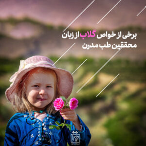 تصویر مقاله برخی از خواص گلاب از زبان محققین طب مدرن