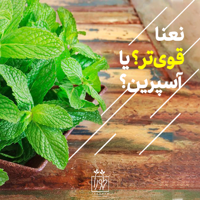 نعنا قوی تر یا آسپیرین