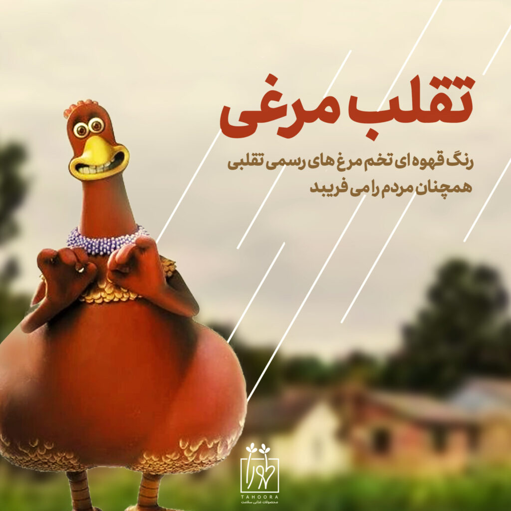 تخم مرغ محلی