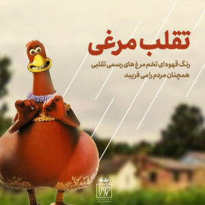 تخم مرغ محلی